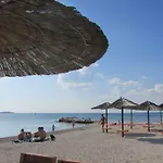 Petunia Fažana