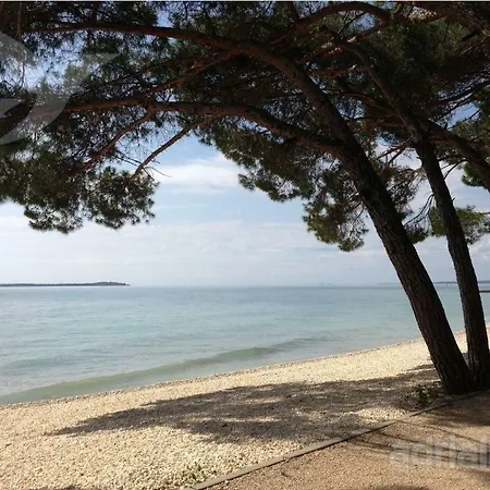 アパート Petunia