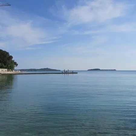 アパート Petunia *